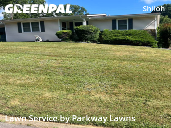 Lawn Care nearby Asheville, NC, 