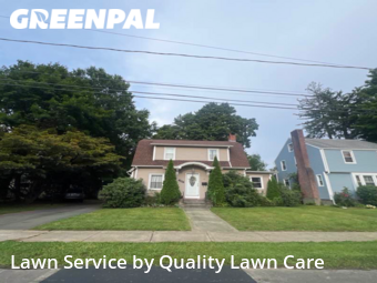 Yard Work in New Britain, 6052, Backyard Mowing by Quality Lawn Care, work completed in Nov , 2025