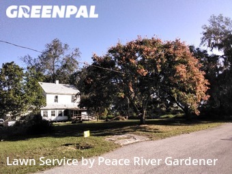 Lawn Mowing Service nearby Mulberry, FL, 