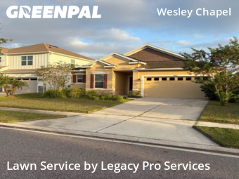 Lawn Cutting nearby Wesley Chapel, FL, 