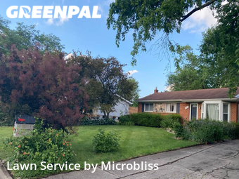 Grass Cut nearby Ann Arbor, OH, 