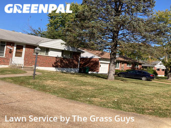 Yard Cutting nearby St. Louis, IL, 