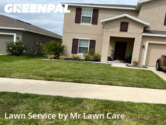 Lawn Mow nearby Wimauma, FL, 