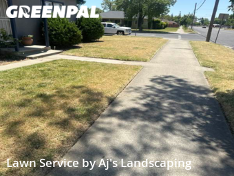 Grass Cut nearby Merced, CA, 