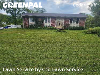 Lawn Cutting nearby Knoxville, NC, 