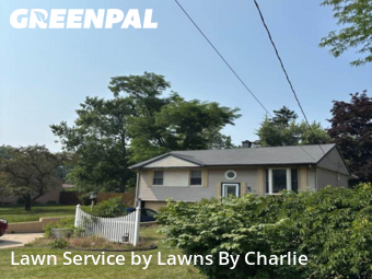 Grass Cut nearby Jackson, MI, 