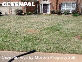 Grass Cutting nearby Marietta, GA, 