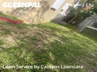 Grass Care in West Palm Beach, 33407, Lawn Care by Caidens Lawncare , work completed in Dec , 2025