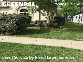 Lawn Mowing Service nearby Missouri City, TX, 