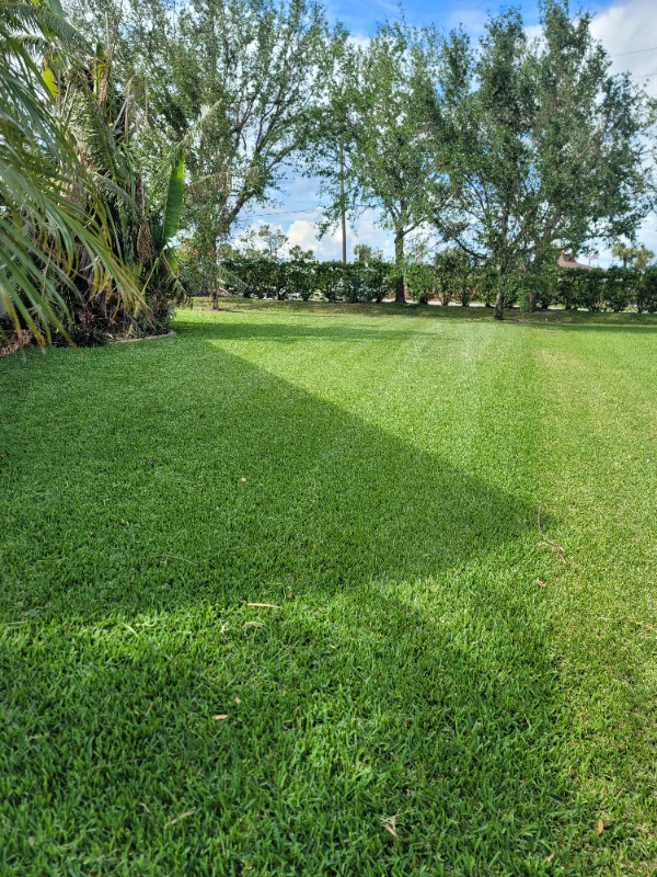 Lawn Mowing Contractor in Englewood, FL, 34224