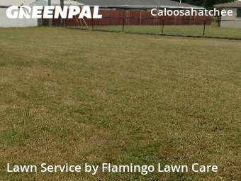 Yard Maintenance in Cape Coral, 33904, Yard Work by Flamingo Lawn Care, work completed in Oct , 2025