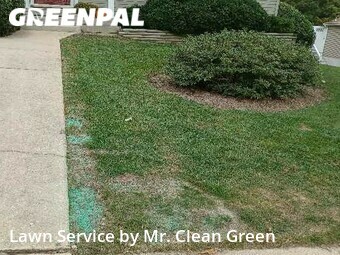 Lawn Maintenance nearby Carney, MD, 