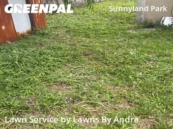 Yard Cutting nearby Daytona Beach, FL, 