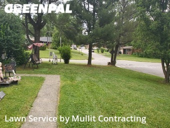 Grass Cutting nearby Lexington, KY, 