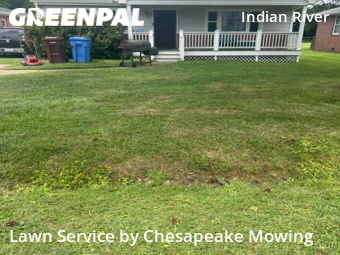 Yard Cutting nearby Chesapeake, VA, 