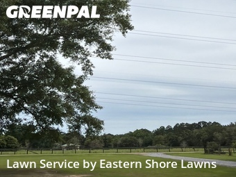 Lawn mowed in Fairhope, 36532