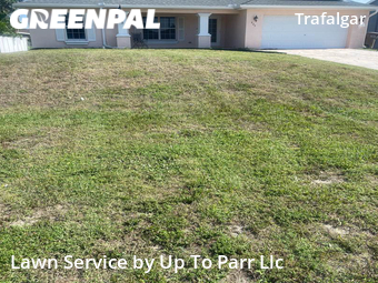 Grass Cut nearby Cape Coral, FL, 