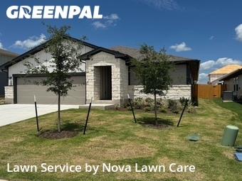 Lawn mowed in Hutto, 78634