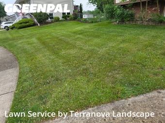 Lawn Mowing Servicein Palatine,60067,Lawn Mowing Service by Terranova Landscape, work completed in Dec , 2025
