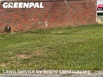 Lawn Mow nearby Columbia, SC, 