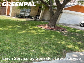 Lawn Care nearby San Antonio, TX, 