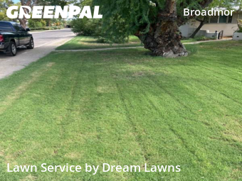 Grass Care in Tempe, 85282, Grass Services by Dream Lawns, work completed in Oct , 2025