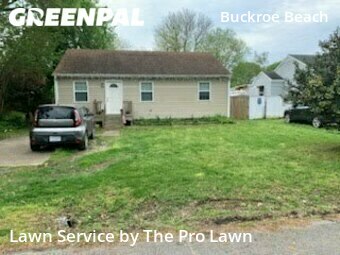 Yard Mowing nearby Hampton, VA, 