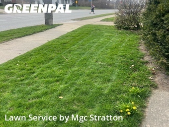Lawn Maintenance nearby Lakewood, OH, 