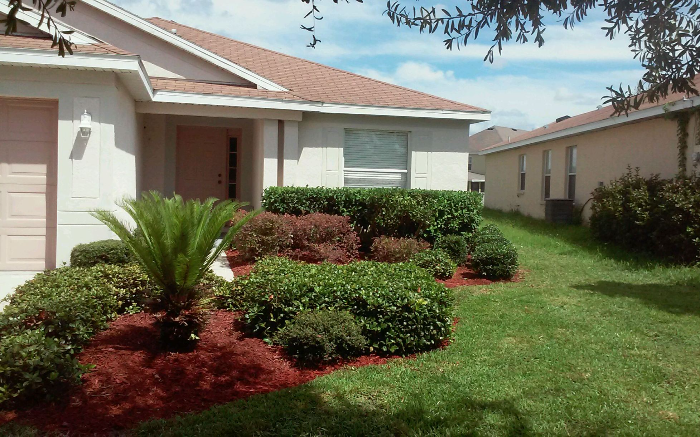 Work Image 1