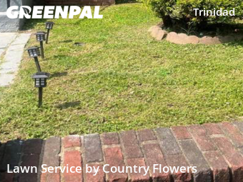 Grass Cut nearby Washington, MD, 