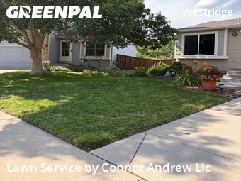Lawn Cut nearby Littleton, CO, 