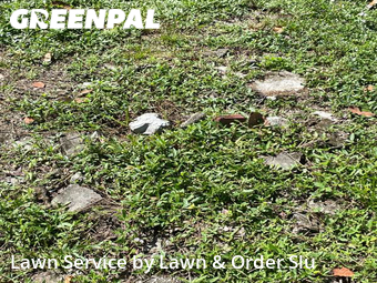 Lawn Maintenance nearby Plantation, FL, 