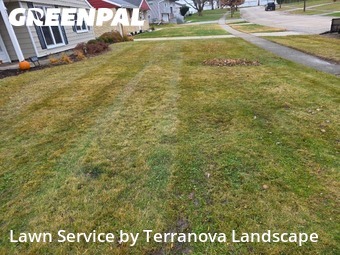 Yard Services in Woodridge, 60517, Yard Grooming by Terranova Landscape, work completed in Dec , 2025