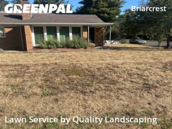 Yard Management in Shoreline, 98155, Turf Services by Quality Landscaping, work completed in Nov , 2025