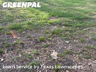 Lawn Maintenance nearby Richardson, TX, 