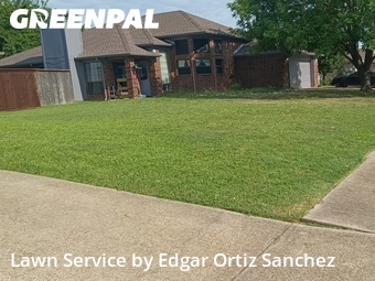 Lawn Mow nearby Rowlett, TX, 