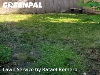 Lawn Service nearby Cambridge, MA, 