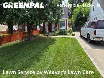 Grass Cutting nearby Indianapolis, IN, 