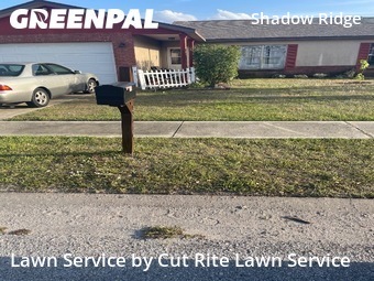 Yard Cutting nearby Hudson, FL, 