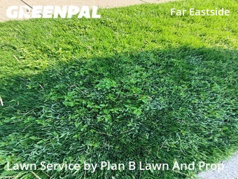 Grass Cut nearby Cumberland, IN, 