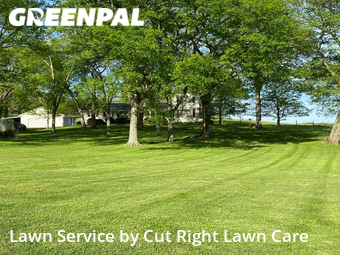 Lawn Cutting nearby Franklin, TN, 