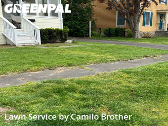 Lawn Cutting nearby Fairfield, CT, 