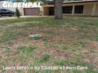Lawn Cut nearby St. Petersburg, FL, 
