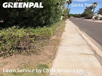 Lawn mowed in Scottsdale, 85258