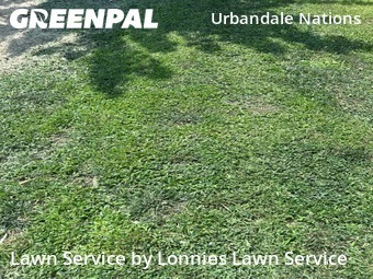 Lawn Cut nearby Nashville, TN, 
