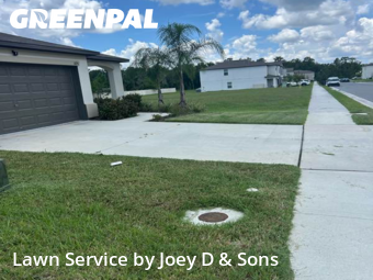 Grass Cut nearby Lakeland, FL, 