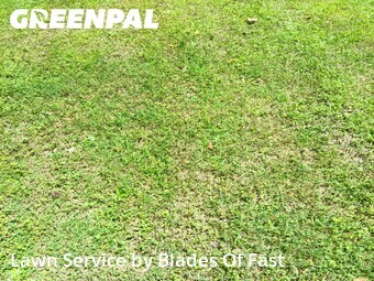 Lawn Care Service nearby Atlanta, GA, 