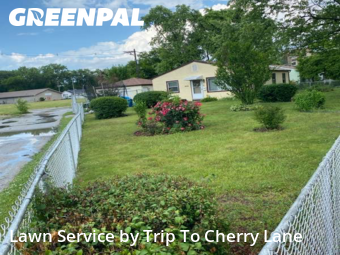 Yard Cutting nearby Robbins, IL, 