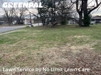 Lawn Carein Granite City,62040,Grass Cut by No Limit Lawn Care, work completed in Dec , 2025