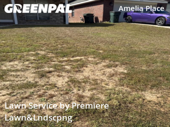 Yard Cutting nearby Pensacola, FL, 